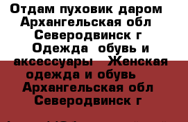 Отдам пуховик даром - Архангельская обл., Северодвинск г. Одежда, обувь и аксессуары » Женская одежда и обувь   . Архангельская обл.,Северодвинск г.